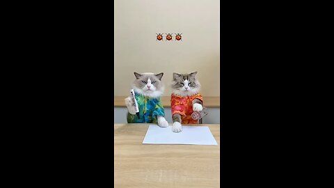 funny suspect and child