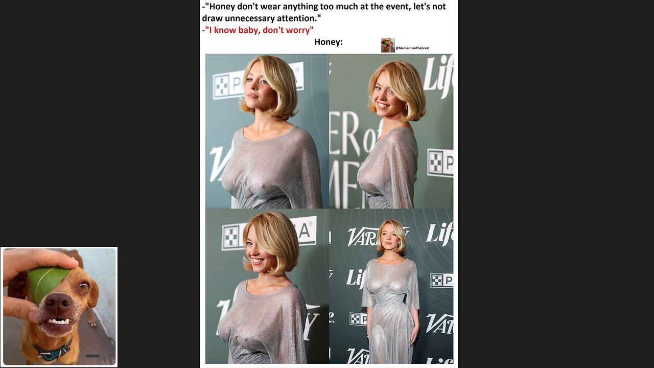 Memes That Will 99.0431% Make You Laugh. (e655)