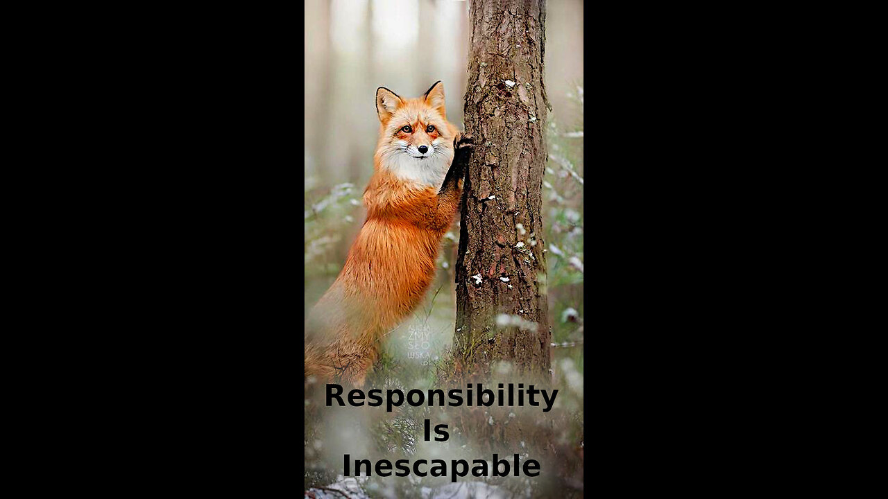 Santana 🔆 494 ~ Responsibility Is Inescapable