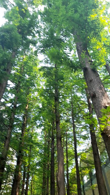 My LORD, Please help SOUTH KOREA.