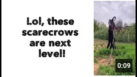 Next Level Scarecrows That Will Amaze You