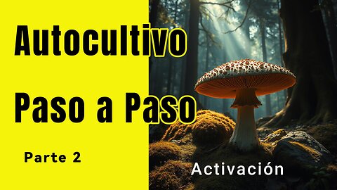 Autocultivo parte 2 - Activación