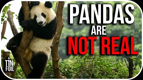WHY PANDA BEARS ARE NOT REAL - Tin Foil Tuesday #10