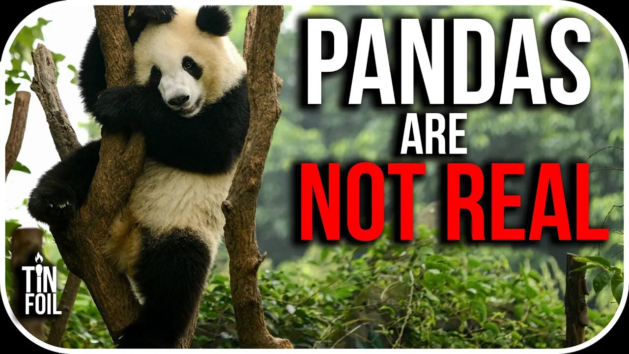 WHY PANDA BEARS ARE NOT REAL - Tin Foil Tuesday #10