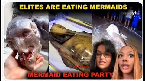 We Found Out the Rich Are Eating Merma!ds—T!kT0k Wild Theory Explained! - Xtra Narrative