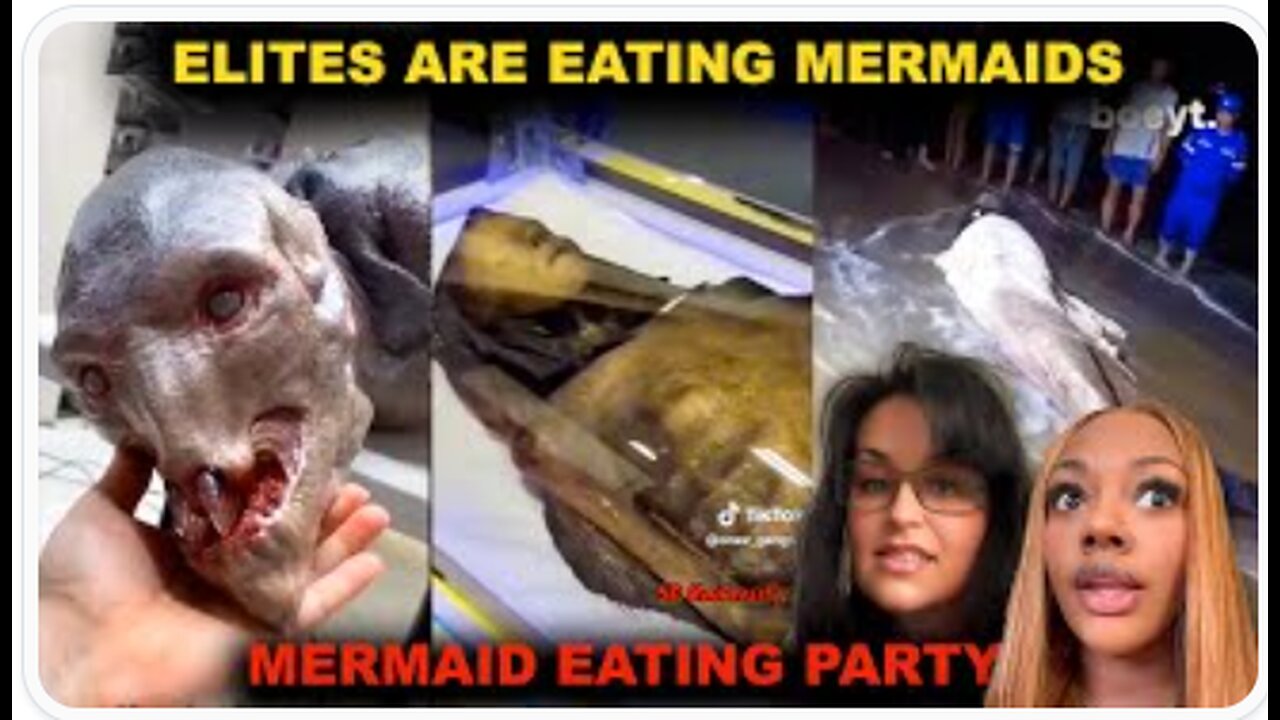 We Found Out the Rich Are Eating Merma!ds—T!kT0k Wild Theory Explained! - Xtra Narrative