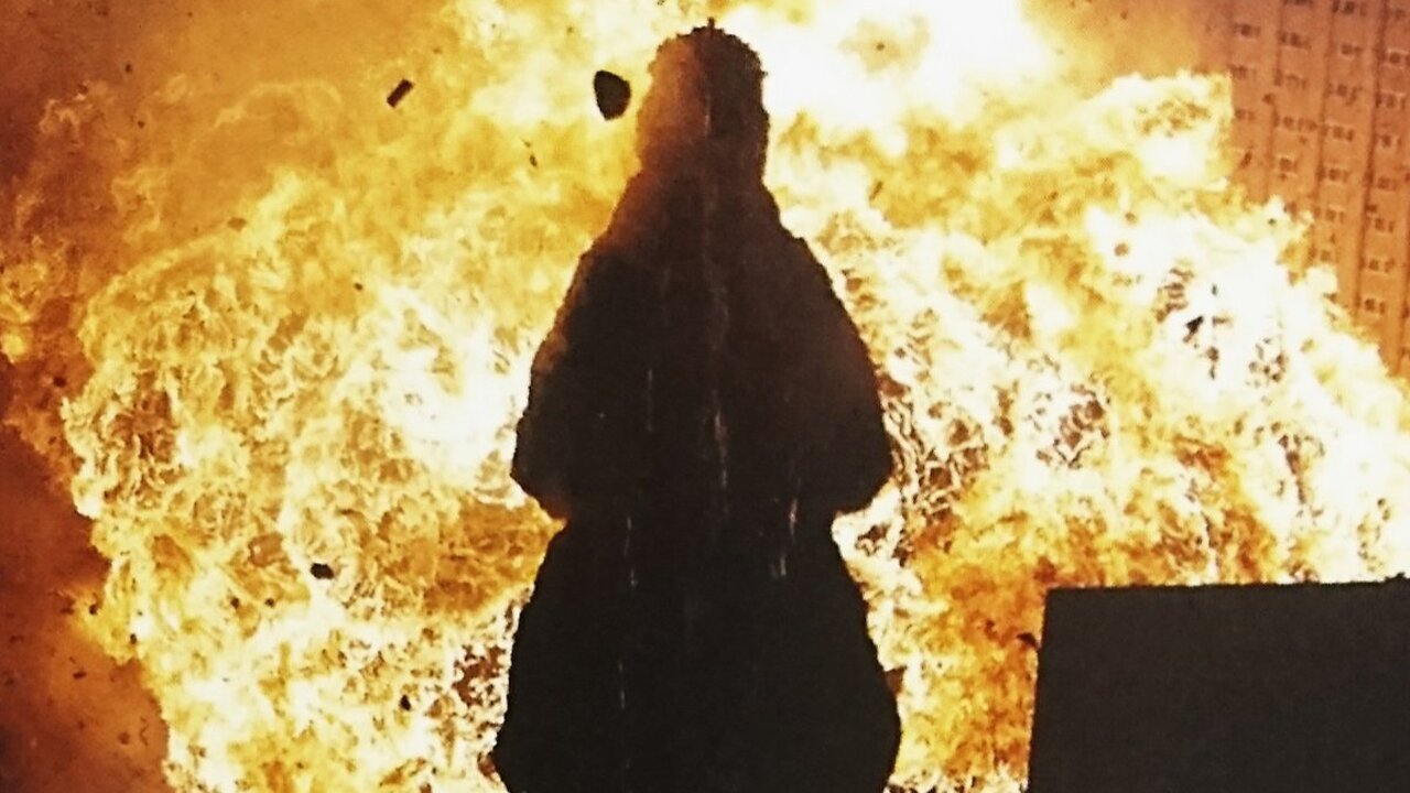 Godzilla 1985-Raymond Burr, Yasuko Sawaguchi-1985 IMDB 6.1/10