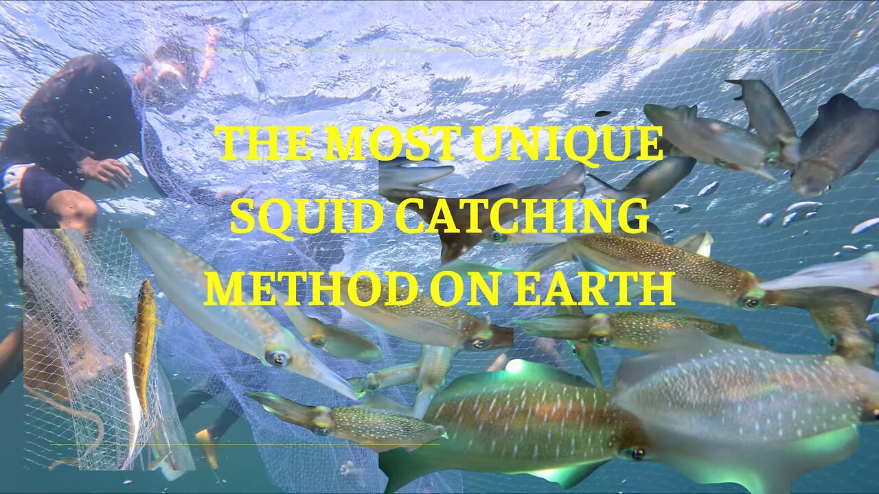 THE MOST UNIQUE SQUID CATCHING METHOD ON EARTH