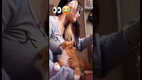 Funniest Cats love boobs 👀😂
