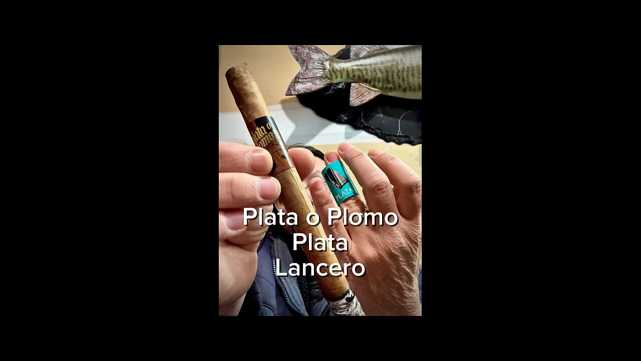 Great Lancero