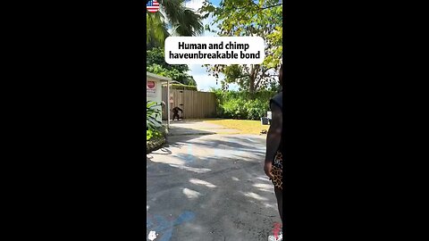 Reunions With Loved Ones Are A Beautiful Heartwarming Sight 😍