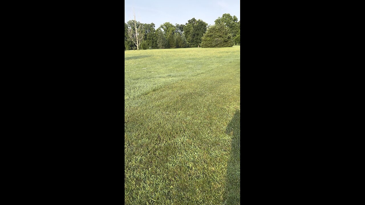 Chemtrails 8/2/25 one