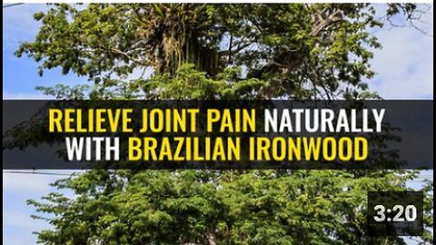 "Natural Joint Pain Relief with Brazilian Ironwood"