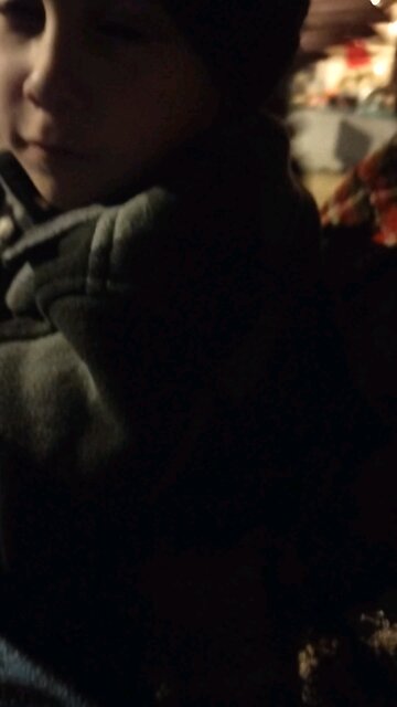 Horse Carriage ride in Carthage, Missouri 3