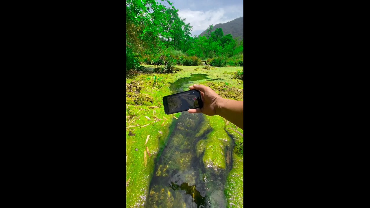 iphone 16 pro 4k video shoot testing under water