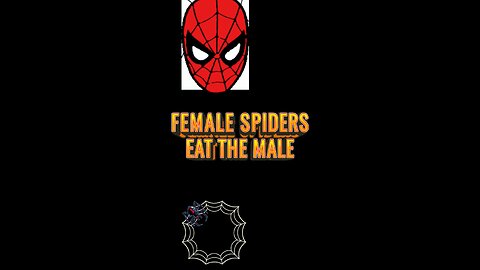 spider’s 🕷️🕸️ home 🏠 is truly the weakest ,cannibalism,Female spiders eat the male #parables