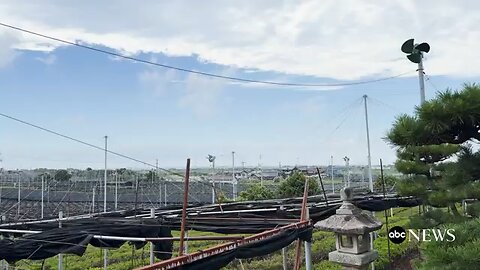 Japanβs_matcha_industry_faces_uncertainty_amid_Trumpβs_tariffs