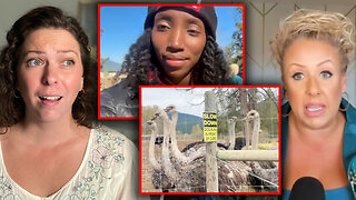 Drea Humphrey checks in from Universal Ostrich Farms ahead of imminent cull