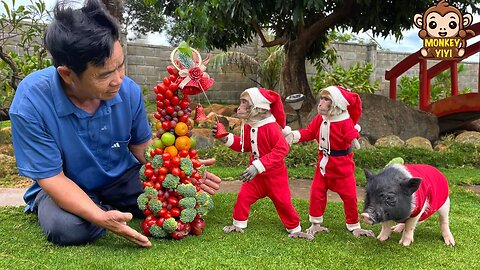 YiYi and YinYin are surprised when grandpa makes a fruit tree for Christmas