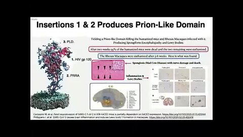 "Dr. Richard Fleming Discusses 'Mad Cow Disease' Through the Lens of Spike Protein"