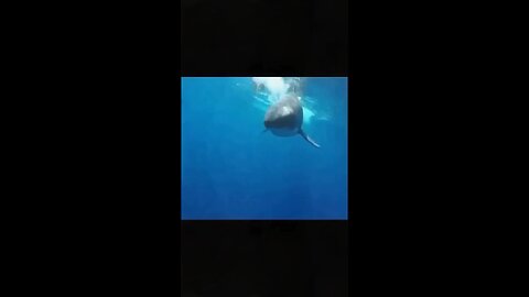 That was close