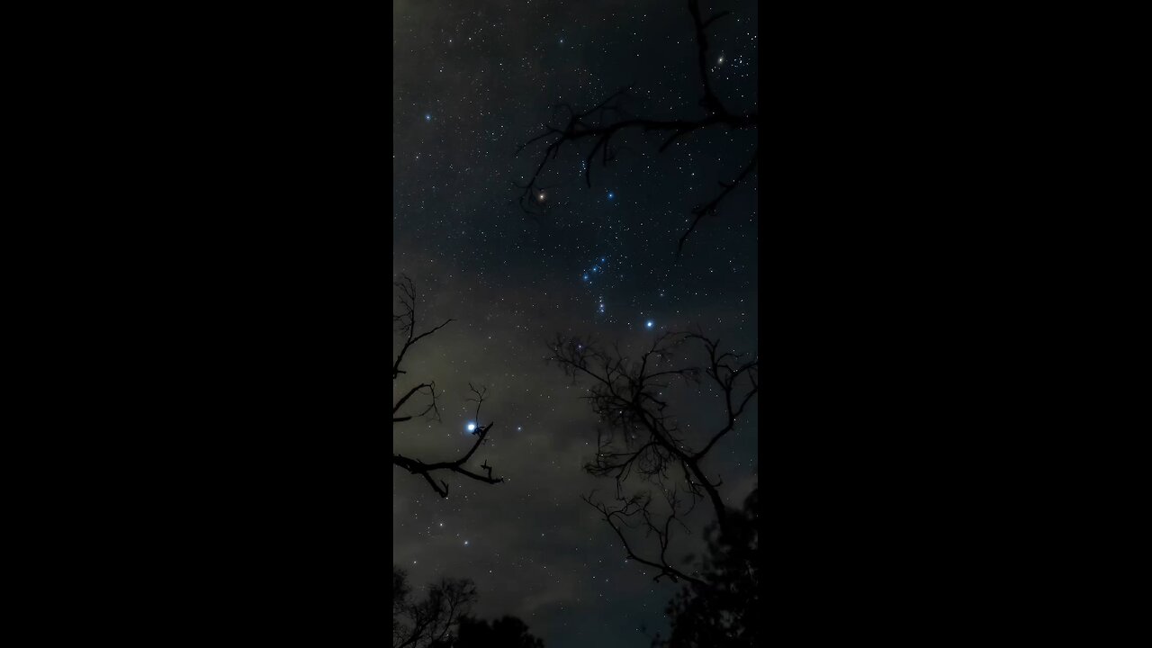 Orion ✨sirius