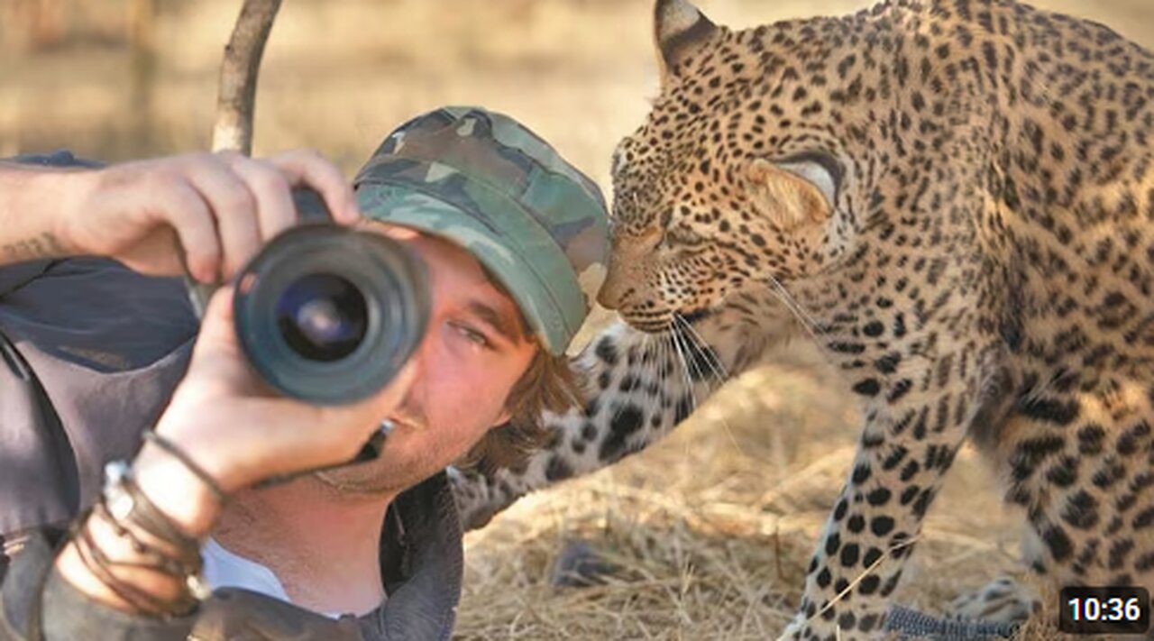 When Animals Interrupted Photographers in an Unexpected Way 🤪