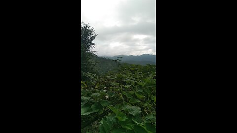 My first video pahado ka view