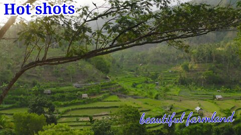 Beautiful farmlands in Asia