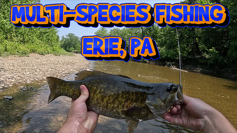 Summertime Fishing at Elk Creek and Presque Isle State Park - Erie PA
