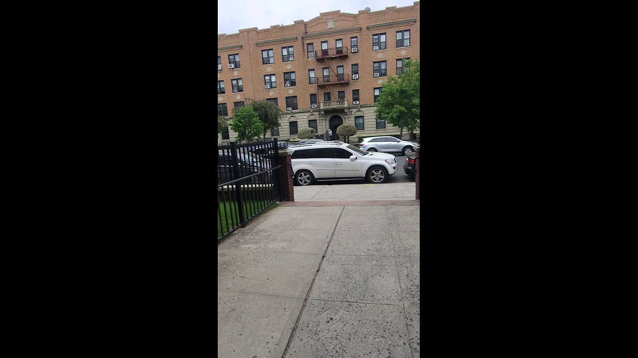 The two perps, a Hispanipean and a Hisidic Jew, also the Negropeans Sambo's doingbthe blocking theme