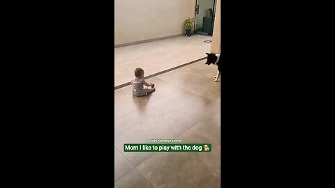 satisfying Video