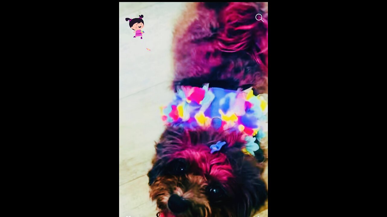 🌴☀️ Fendi’s Serving Summer Vibes: Vacation Mode ON with Colorful Fur & Fierce Fashion! 💅🐾