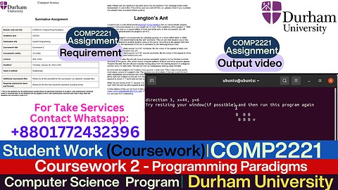 Client Work (Assessment) |COMP2221 C Programming -Langton’s Ant Complete Project | Durham University