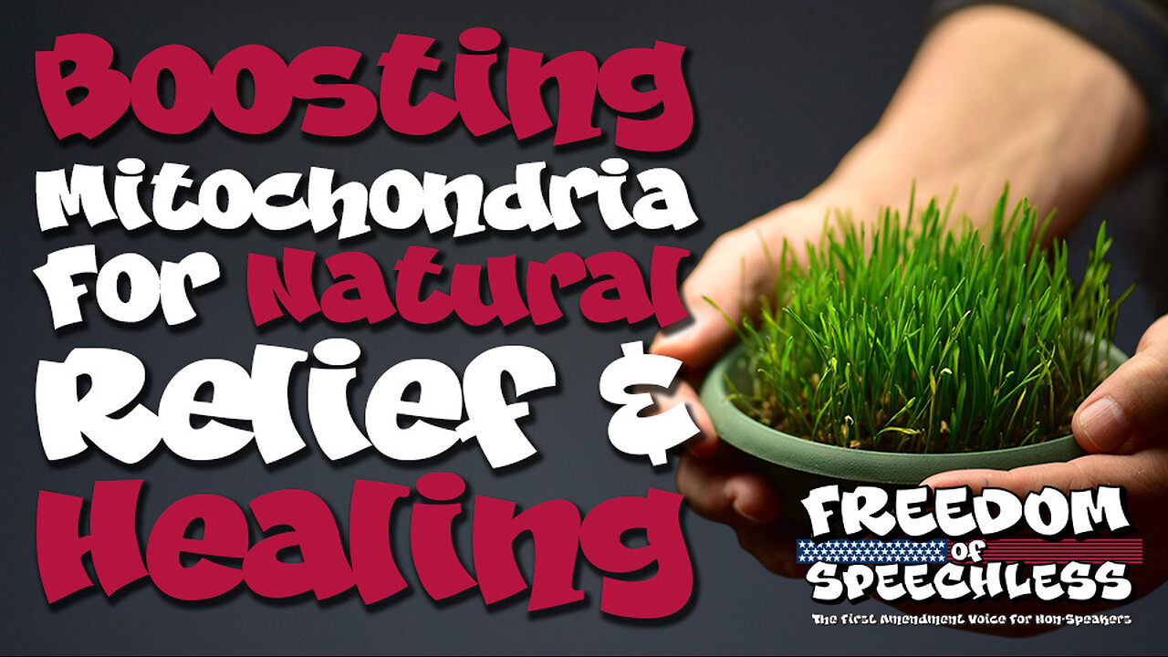Freedom Of Speechless | Mitochondria & the Mind - Part 2: Boosting Mitochondria for Natural Relief