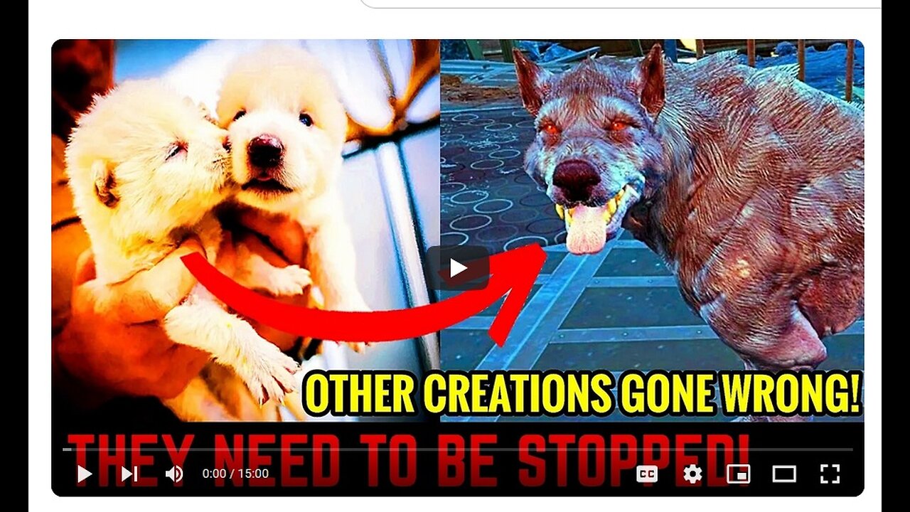Dire wolves Brought Back Are More Disturbing Than You Think!