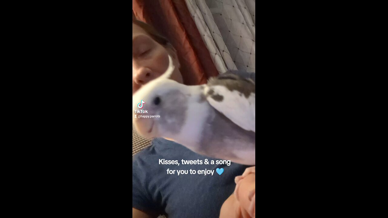 Kisses, Tweets & A Song