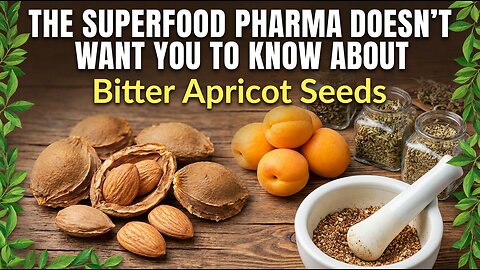The Superfood Pharma Doesn't Want You to Know About: Bitter Apricot Seeds