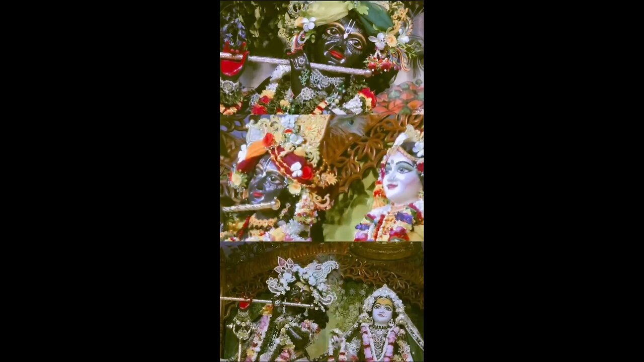Krishna Kirtan 🎶