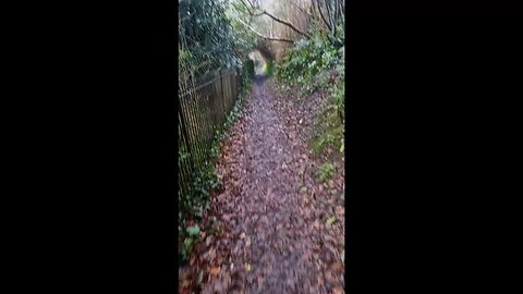 Every day is a great day since epstein drop - Smoke&Mirrors