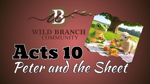 Acts 10 - Peter and the Sheet