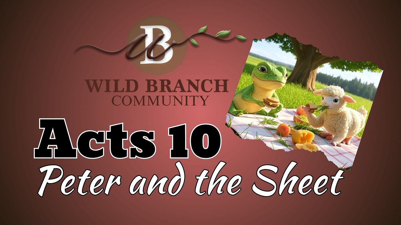 Acts 10 - Peter and the Sheet