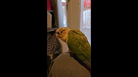 Papaya Praising The Lord