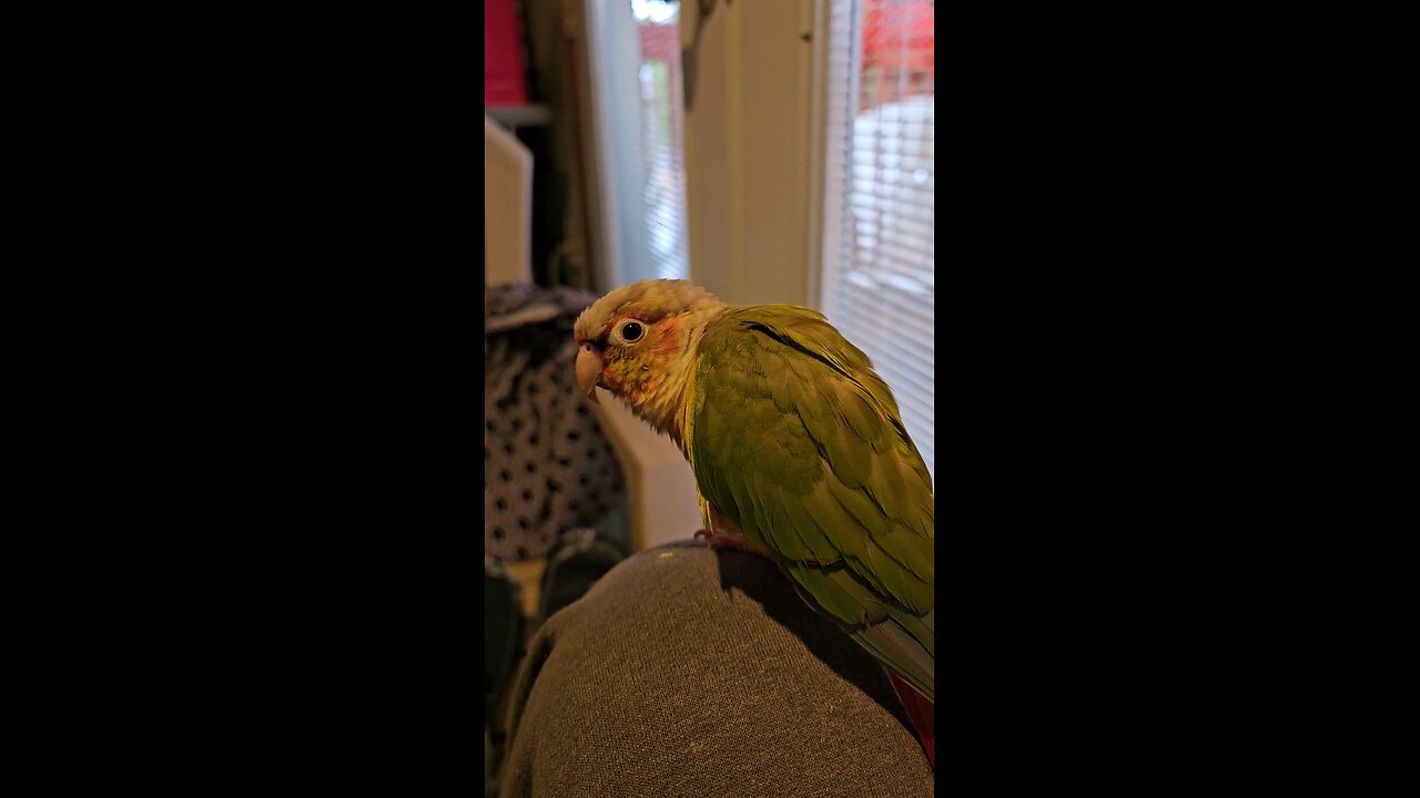 Papaya Praising The Lord