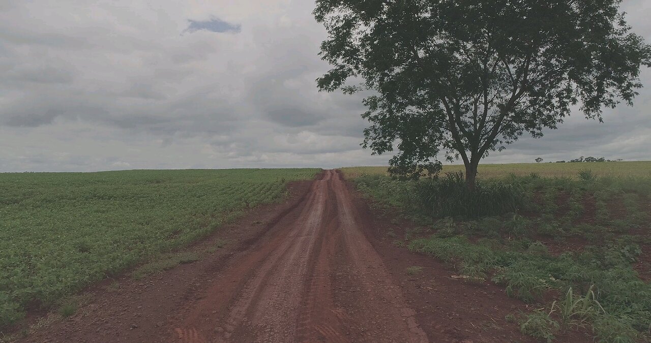 Drone View Of A Vast Cropland Under A Cloudy Sky