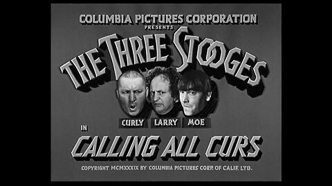 The Three Stooges - "Calling All Curs"