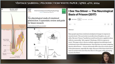 Vintage Sabrina | Piloerection white paper | April 24th, 2024