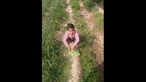 Walkthrough of fields