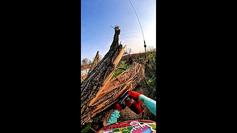 One Cut… And This Whole Limb Flies Away!