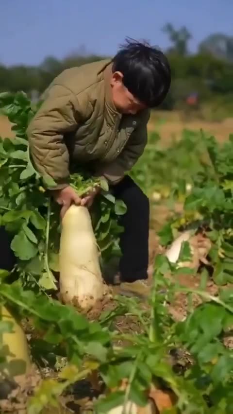 It turned out to be very interesting